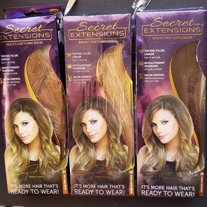 Daisy Fuentes Secret Hair Extensions